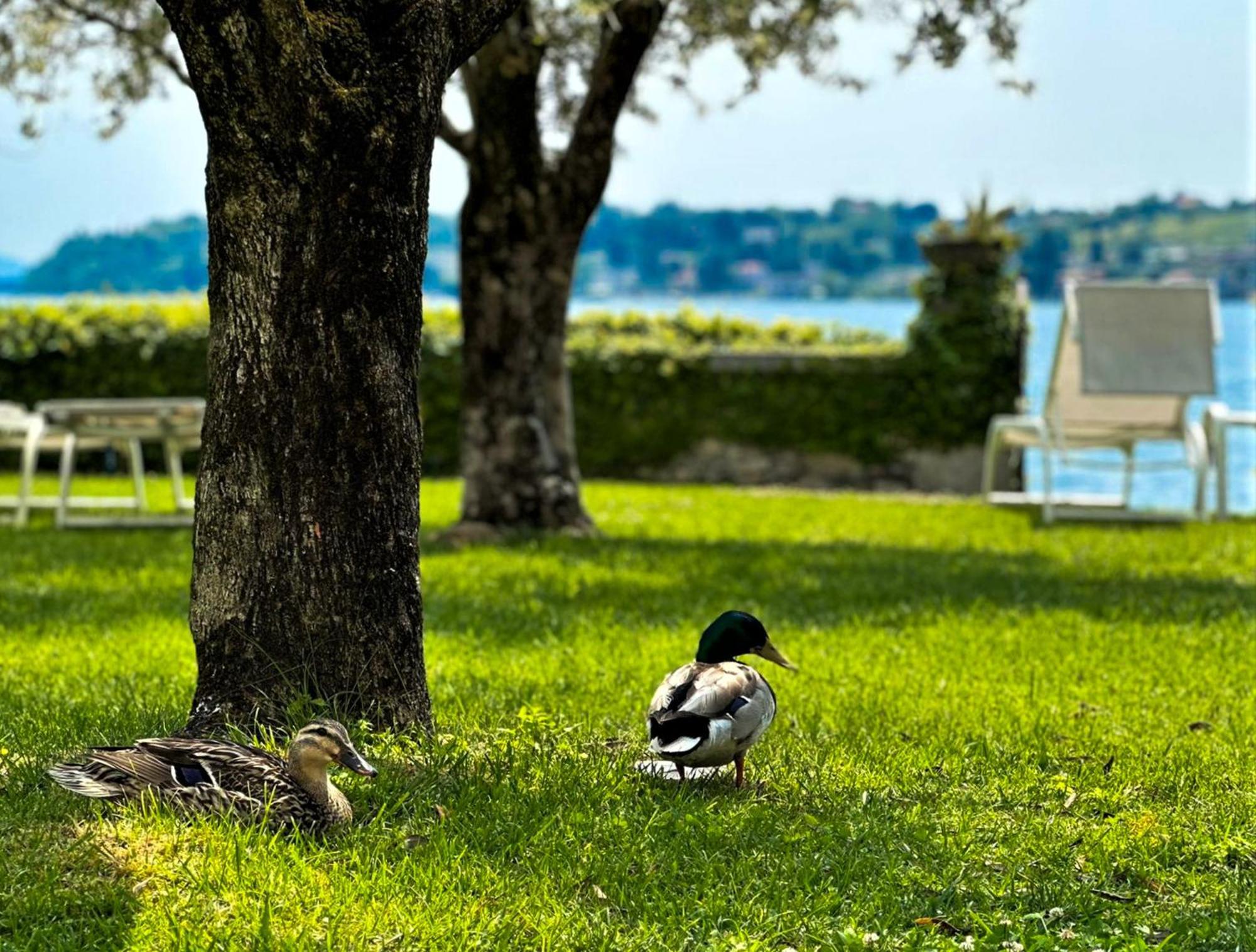 Luxury Lakeside Apartment Right On The Water ซาโล ภายนอก รูปภาพ